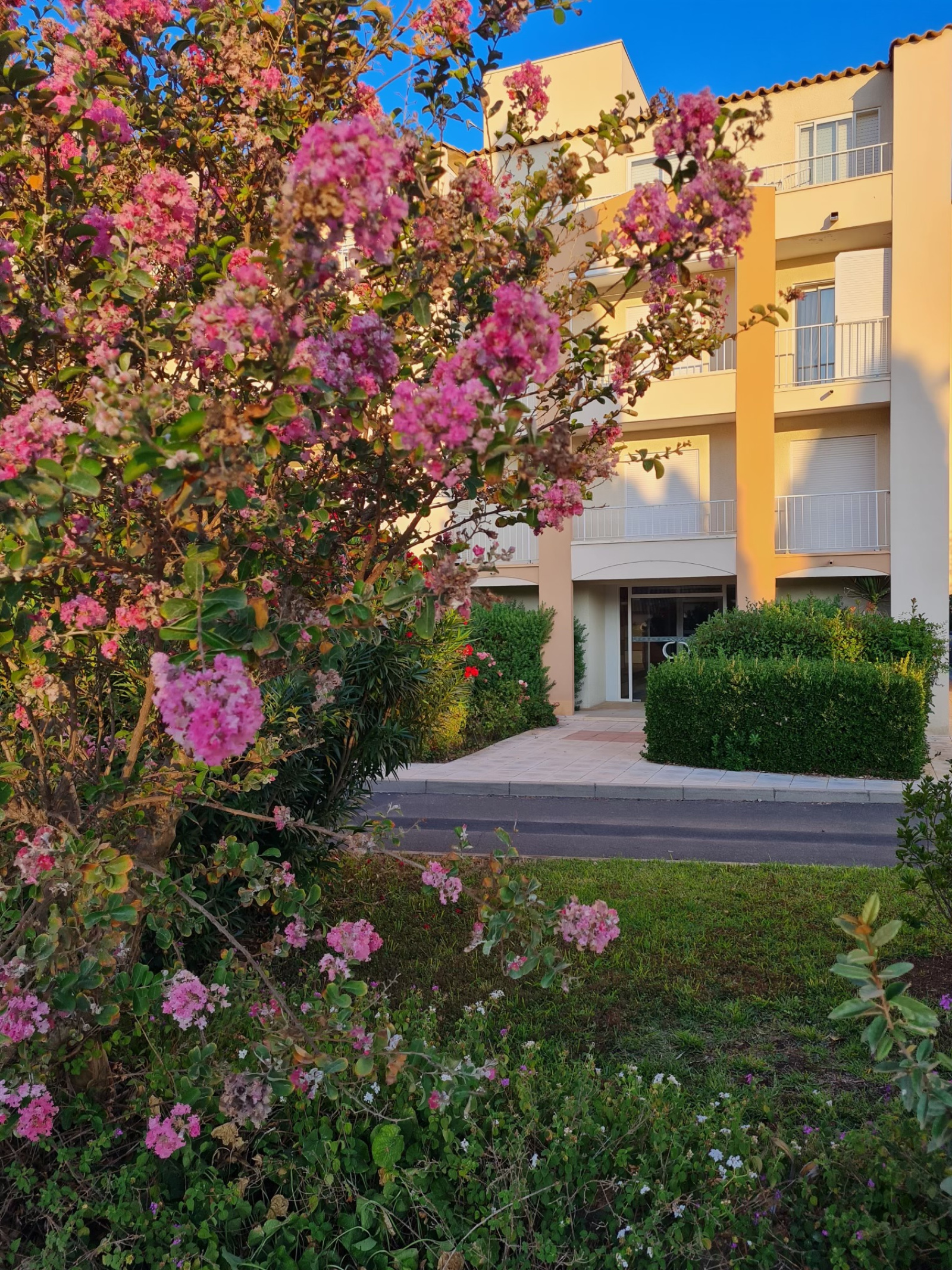 Image_2, Appartement, Agde, ref :830
