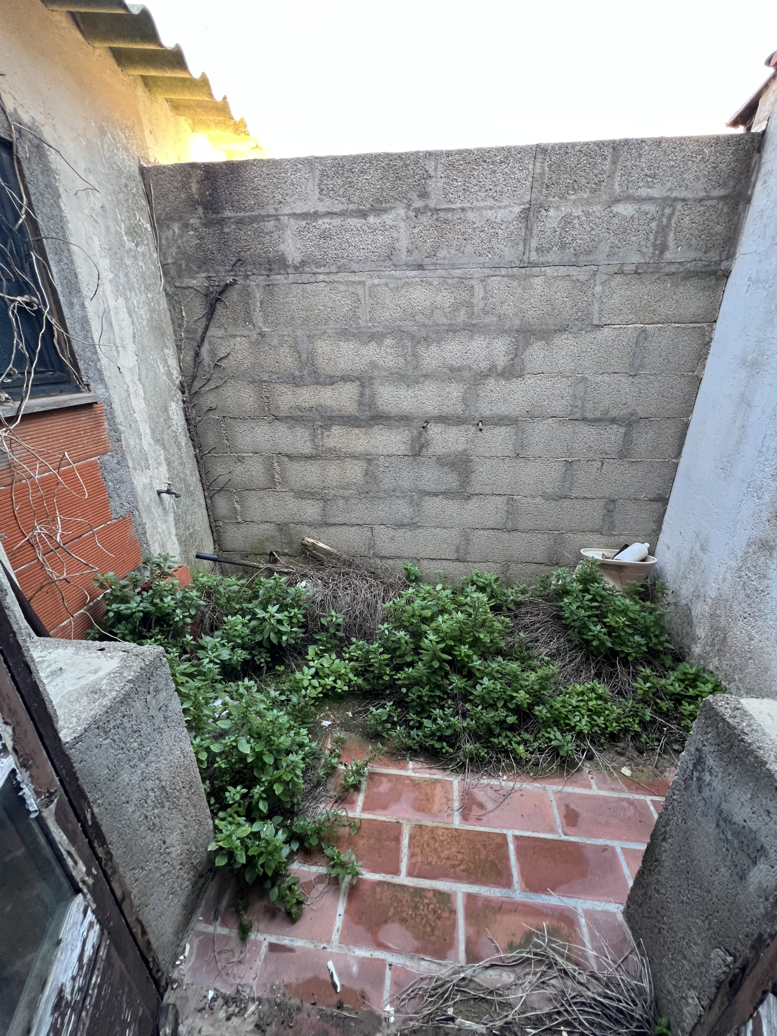 Image_9, Maison, Valras-Plage, ref :864