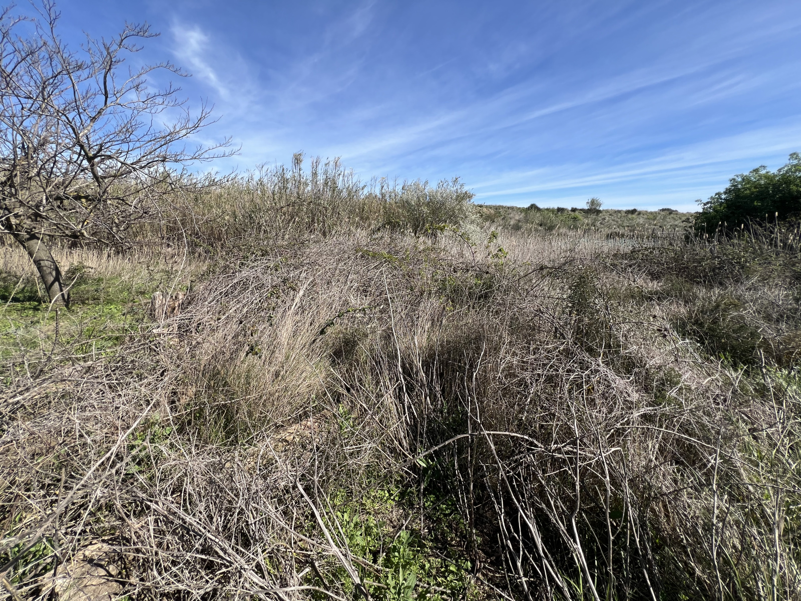 Image_1, Terrain de loisir, Sérignan, ref :886