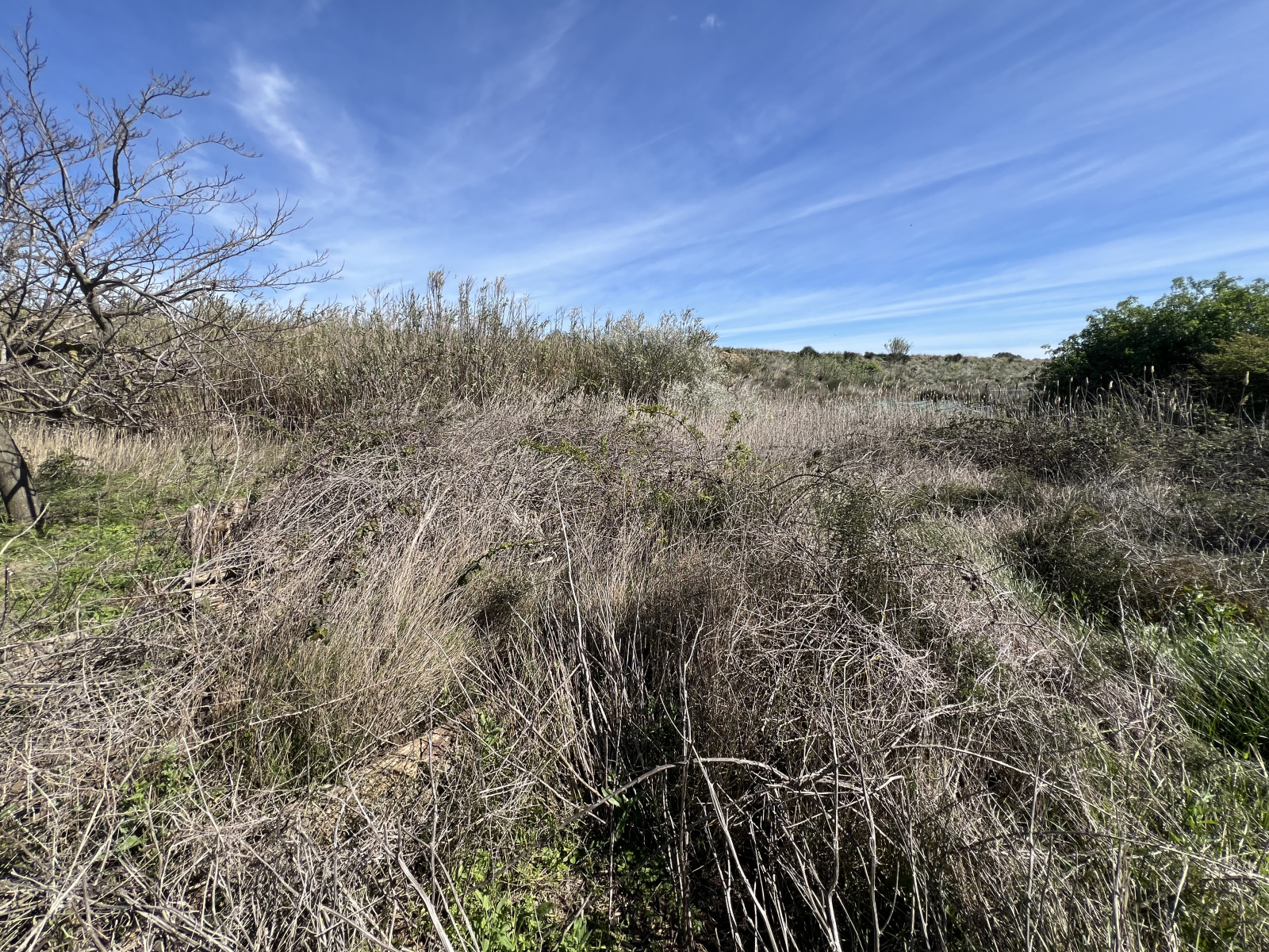 Image_3, Terrain de loisir, Sérignan, ref :886