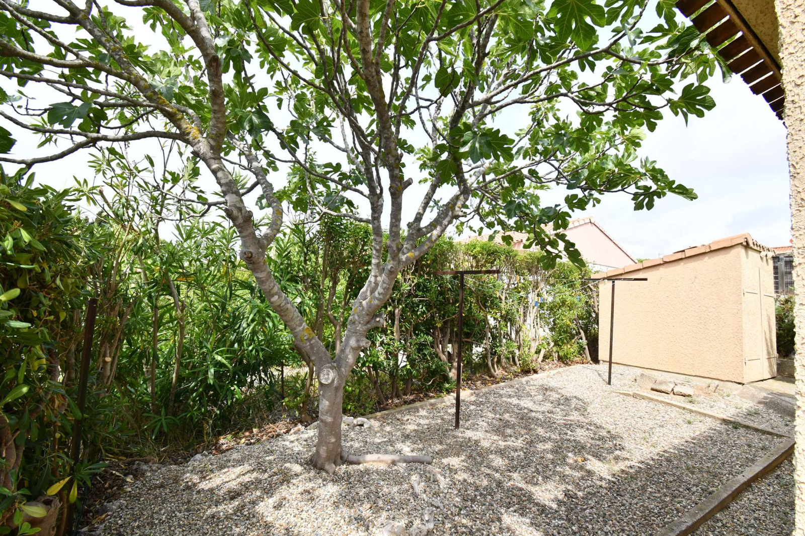 Image_6, Autre, Vendres, ref :46